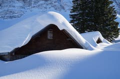 Schwägalp: Bis zur Alpfahrt ist zum Glück noch Zeit! (Bild: Hanspeter Berger)