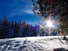 Zauberhafte Winterstimmung auf der Krienseregg. (Bild: Heinz Schürmann, Krienseregg, 6. Februar 2019)