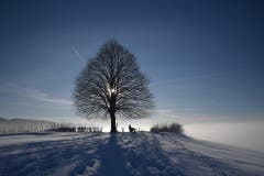 Wunderbare Winterlandschaft auf dem Kapf. (Bild: Daniel Locher)