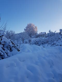 Winterspaziergang über den Wolfgangweg in St. Gallen. (Bild: Barbara Mauchle)