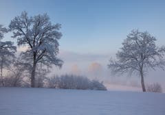 Ein eisig kalter Wintermorgen in Zuswil. (Bild: Priska Ziswiler-Heller, 4. Februar 2019)