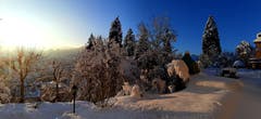 Winterzauber auf dem St. Galler Rosenberg. (Bild: Paul Scheibling)