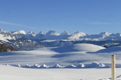 Der Pfadschlitten hat unbewusst die Churfirsten nachgebildet auf dem Weg Hamberg- Bendel/Wintersberg. (Bild: Pierino Keller)