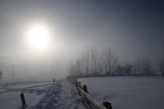 Mystische Winterstimmung auf dem Freudenberg. (Bild: Daniel Locher)