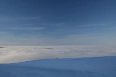 Über dem Nebelmeer auf dem Kapf. (Bild: Daniel Locher)