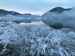Spiegel auf dem Ägerisee. (Bild: Enrico Schildknecht, Oberägeri, 7. Februar 2019)