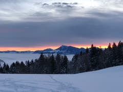 Was für eine Morgenstimmung! (Bild: Hanny Odermatt, Holderkäppeli, 7. Februar 2019)