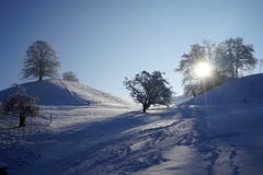 Spuren im Schnee auf der Stocki in Zell. (Bild: Isidor Rösch, 6. Februar 2019)