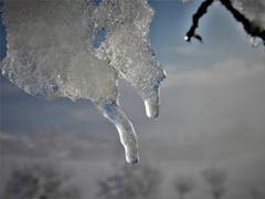 Tauwetter. (Leserbild: Margrith Imhof-Röthlin, Meggen, 5. Februar 2019)