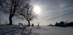 Winternachmittag auf dem Fünfländer-Blick. (Bild: Klaus Businger)