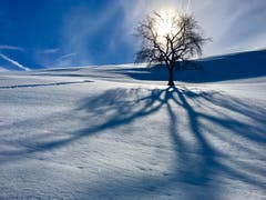Herrliches Winterwetter im Ägerital. (Bild: Peter Bumbacher, Unterägeri, 8. Februar 2019)
