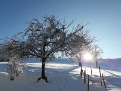 Ein Morgengruss vom Aernihof in Wolhusen. (Bild: Ursula Schmid, 5. Februar 2019)