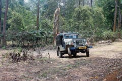 Die Jeeps fahren ihre Routen so, dass die Tiere nicht gestört werden. (Bild: Jaishankar T.M.)