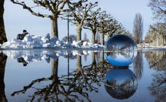 Spiegelungen am Zugersee-Ufer. (Bild: Daniel Hegglin (Zug, 8. Februar 2019))