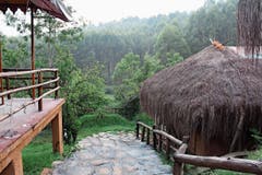 Die Öko-Resorts von Praveen Muraleedharan sind in die Natur eingebettet. (Bild: Angela Bernetta)