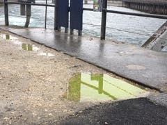 Der Tag danach: Die Reuss ist nicht mehr grün. (Bild: Pascal Studer/Luzerner Zeitung (1. März 2019))