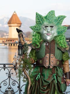 Wunderschöne Fasnacht! (Bild: Theres Nussbaumer, 28. Februar 2019)