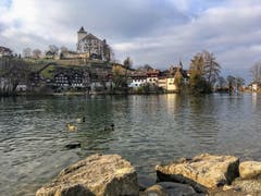 Der Schnee ist weg in Werdenberg. (Bild: Toni Sieber)