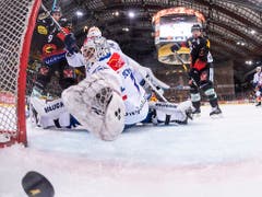 ZSC-Goalie Niklas Schlegel muss sich geschlagen geben. Am Ende gewinnt der SC Bern das Heimspiel gegen die ZSC Lions mit 5:4 und schnappt sich wie 2017 und 2018 den Qualifikationssieg (Bild: KEYSTONE/ALESSANDRO DELLA VALLE)