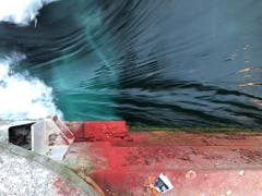 Das rote Pulver Uranin liess das Wasser grün erscheinen. (Bild: Luzerner Polizei)