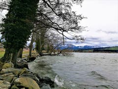 Starker Wellengang am Seebecken des Sempachersees. (Bild: Urs Gutfleisch (Sempach, 10. März 2019))