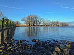 Immer noch Niedrigwasser im Bodensee (Bild: Toni Sieber)