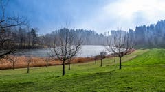 Regen, Wind und Sonne bei Wilen-Gotthaus (Bild: Luciano Pau)