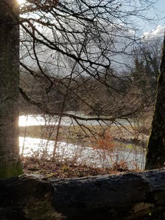 Die Abendsonne verleiht der Thur ein Glitzern. (Bild: Reto Schlegel)