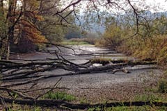 Der Frühling lässt auf sich warten im Eselschwanz in Altstätten. (Bild: Toni Sieber)