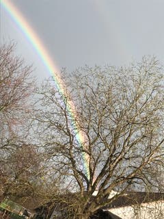 Regenbogen bei Märwil. (Bild: Milena Grubenmann)