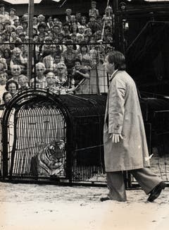 Emil bei einer Vorstellung im Jahr 1977 als Zuschauer, der sich in den Tigerkäfig verirrt. Der Luzerner Kabarettist prägte die damalige Tournee massgeblich mit. Nie besuchten mehr Leute die Vorstellungen des Circus Knie, über 1,2 Millionen waren bei den 389 Vorführungen an 60 Orten dabei. (Bild: PD/Archiv Circus Knie)
