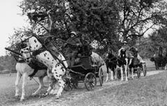 1940 müssen auch die Pferde des Zirkus Knie ins Militär. (Bild: PD/Archiv Circus Knie)