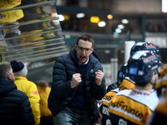 Ambris Trainer Luca Cereda will seine Spieler weiterkämpfen sehen (Bild: KEYSTONE/TI-PRESS/SAMUEL GOLAY)