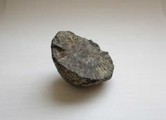 Markasit-Knolle, Fundort: Drachenloch. (Bild: Kantonsarchäologie St.Gallen, 50‘000 Jahre alt ist der älteste Funde des Kantons St.Gallen)