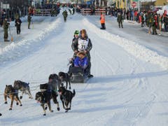 Martin Buser (Nummer 21) mit Team beim Show-Start für das diesjährige Iditarod am 2. März in Anchorage (Bild: KEYSTONE/FR7726 AP/MICHAEL DINNEEN)