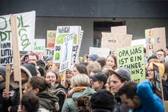 Frauenfeld TG - Klimastreik kommt im Thurgau an. In mehreren Hundert Städten weltweit wird heute gegen den Klimawandel demonstriert. Auch in Frauenfeld haben sich viele Engagierte zusammengetan.