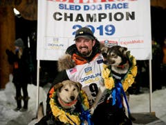 Iditarod-Sieger Peter Kaiser mit seinen Leithunden Morrow (links) und Lucy (Bild: KEYSTONE/AP Anchorage Daily News/MARC LESTER)