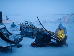 Musher Ramey Smyth muss in Unalakleet am mächtigen Yukon-Fluss seinen defekten Schlitten auswechseln (Bild: KEYSTONE/AP Anchorage Daily News/MARC LESTER)