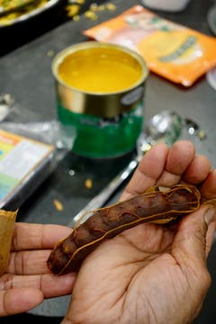 Tamarinde, die Hülse des Tamarindenbaums.