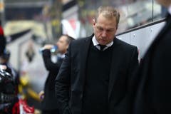 Wie lange bleibt er noch Lugano-Trainer? Greg Ireland steht vor einer ungewissen Zukunft. (Marusca Rezzonico/freshfocus, Lugano, 16. März 2019)