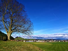 Der Ausblick auf Ettiswil. (Bild: Urs Gutfleisch, Ettiswil, 16. März 2019)