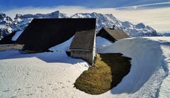 Studen auf dem Weg zum Kronberg. (Bild: Thomas Ammann)