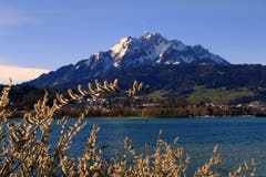 Es sieht schon ein wenig nach Frühling aus. (Bild: Walter Buholzer, Luzern, 16. März 2019)