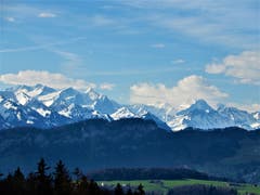 Diese wunderschöne Fernsicht in die Berner Alpen bot sich am letzten Sonntag, um 09.45 Uhr. (Bild Margrith Imhof-Röthlin, Meggen, 17. März 2019)