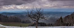 Kalte Aussicht mit Schneeflocken. Der Bodensee vom Speicher aus. (Bild: Luciano Pau)