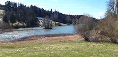 Frühlingserwachen am Wenigerweiher. (Bild: Klaus Businger)