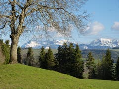 So zeigt sich der Pilatus am Josefstag. (Bild: Josef Lustenberger, Steinhuserberg LU, 19. März 2019)