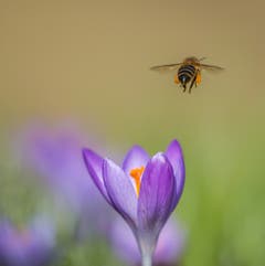 Abflug. (Bild: Franziska Hörler)