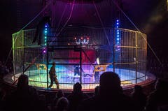 Requisiteure bauen den Käfig für die Löwen in der Manege auf. (Bild: Andrea Stalder)