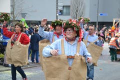 Impressionen vom Fasnachtsumzug in Root. (Bild: Yvonne Imbach, 2. März 2019)